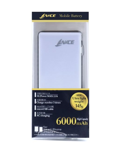 Power Bank 6000mAh (with Wall Adapter)